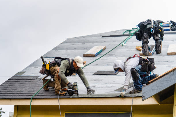 Professional Gutter Installation technician working in Meridian, ID